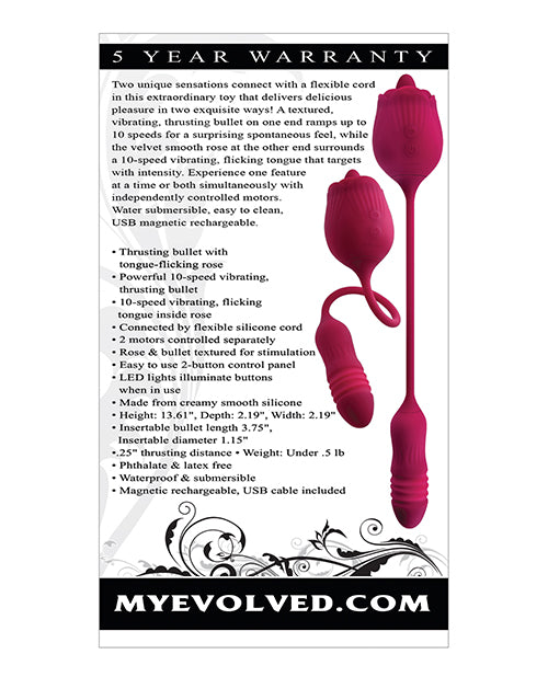 Evolved Wild Rose - Red Evolved Novelties INC