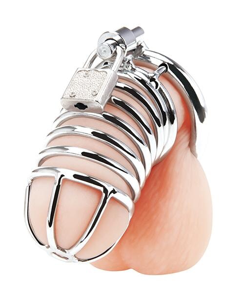 Blue Line Deluxe Chastity Cage - Silver Blue Line