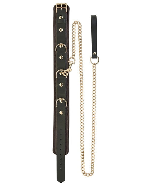 Spartacus Collar & Leash - Brown Leather W-gold Accent Hardware Spartacus