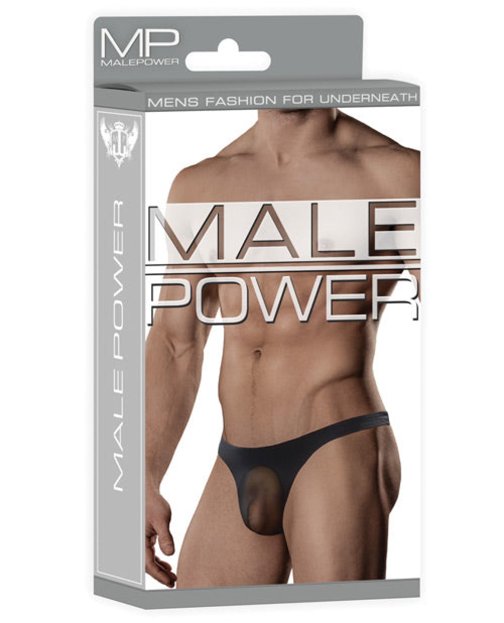 Male Power Sheer Nylon Lycra Pouch Thong Comme Ci Comme Ca