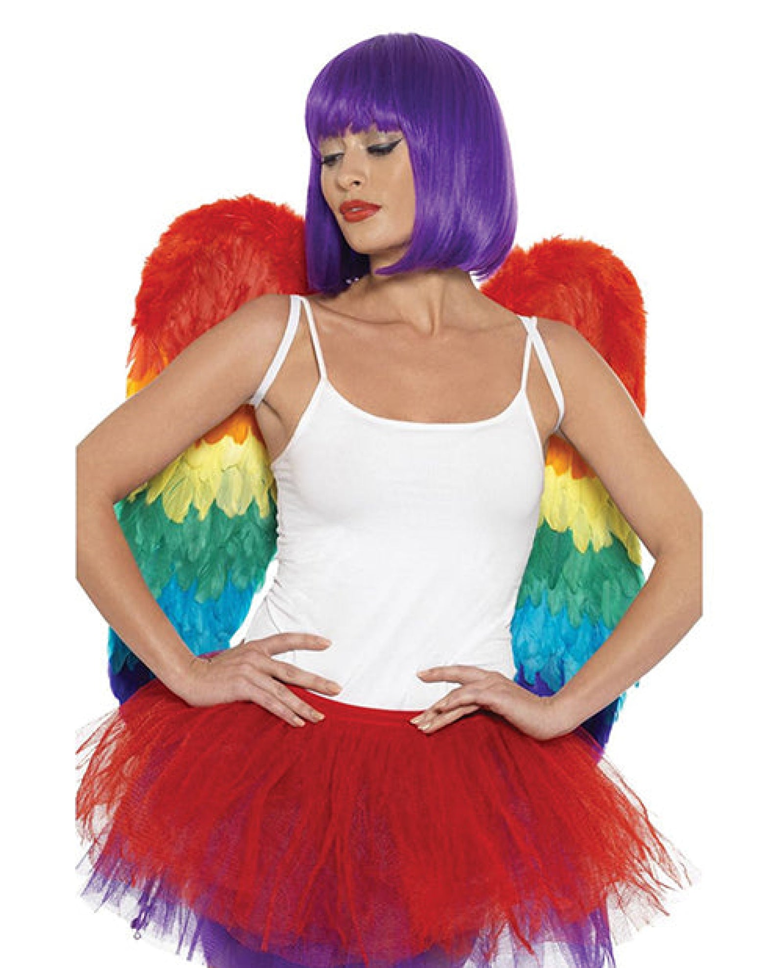 Rainbow Large Feather Wings Smiffy's