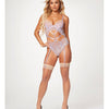 Sheer Mesh & Lace Demi Cup Teddy Seven 'til Midnight Costume