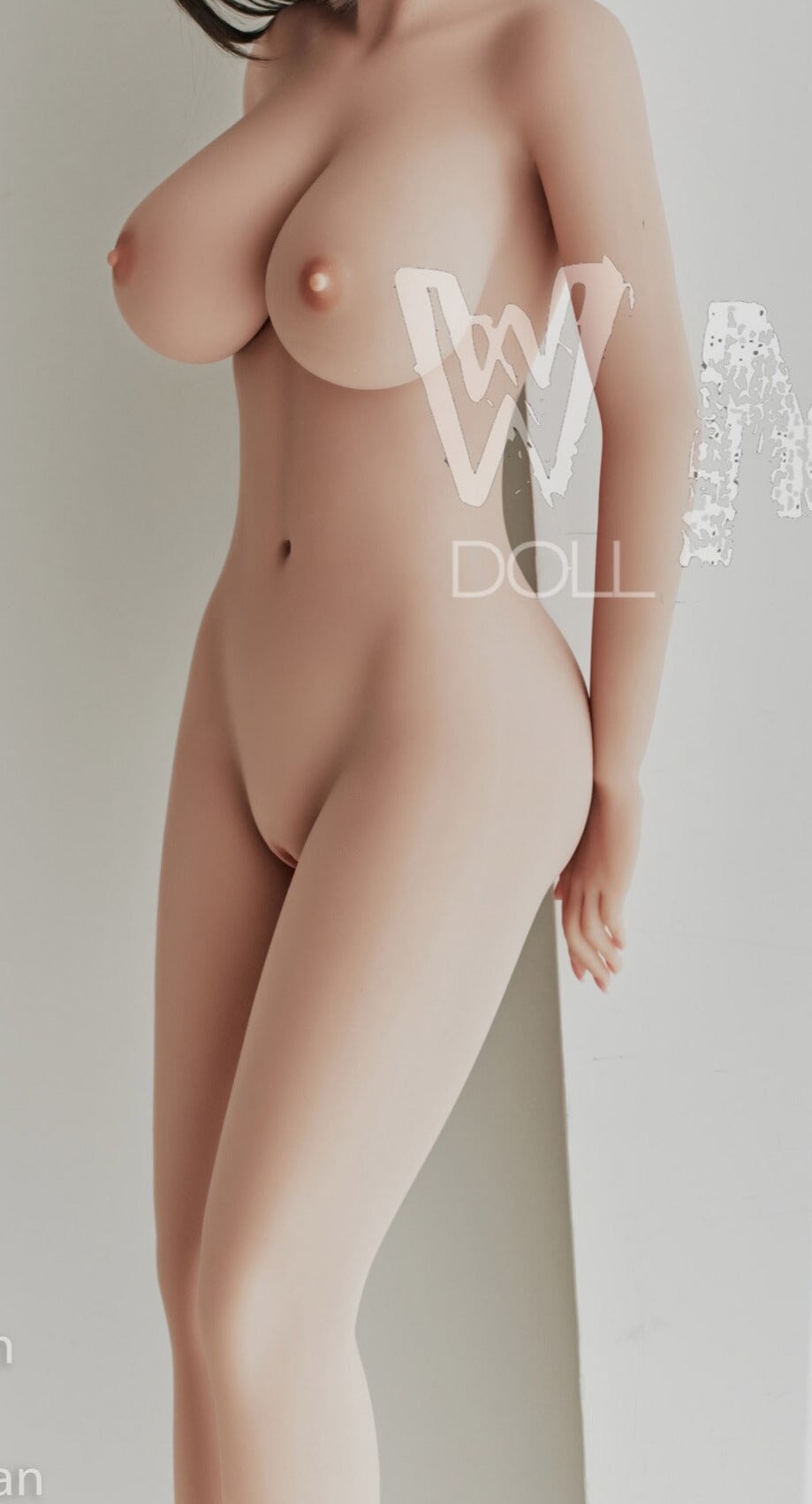 5'5" (168cm) - E-Cup Body WM Dolls