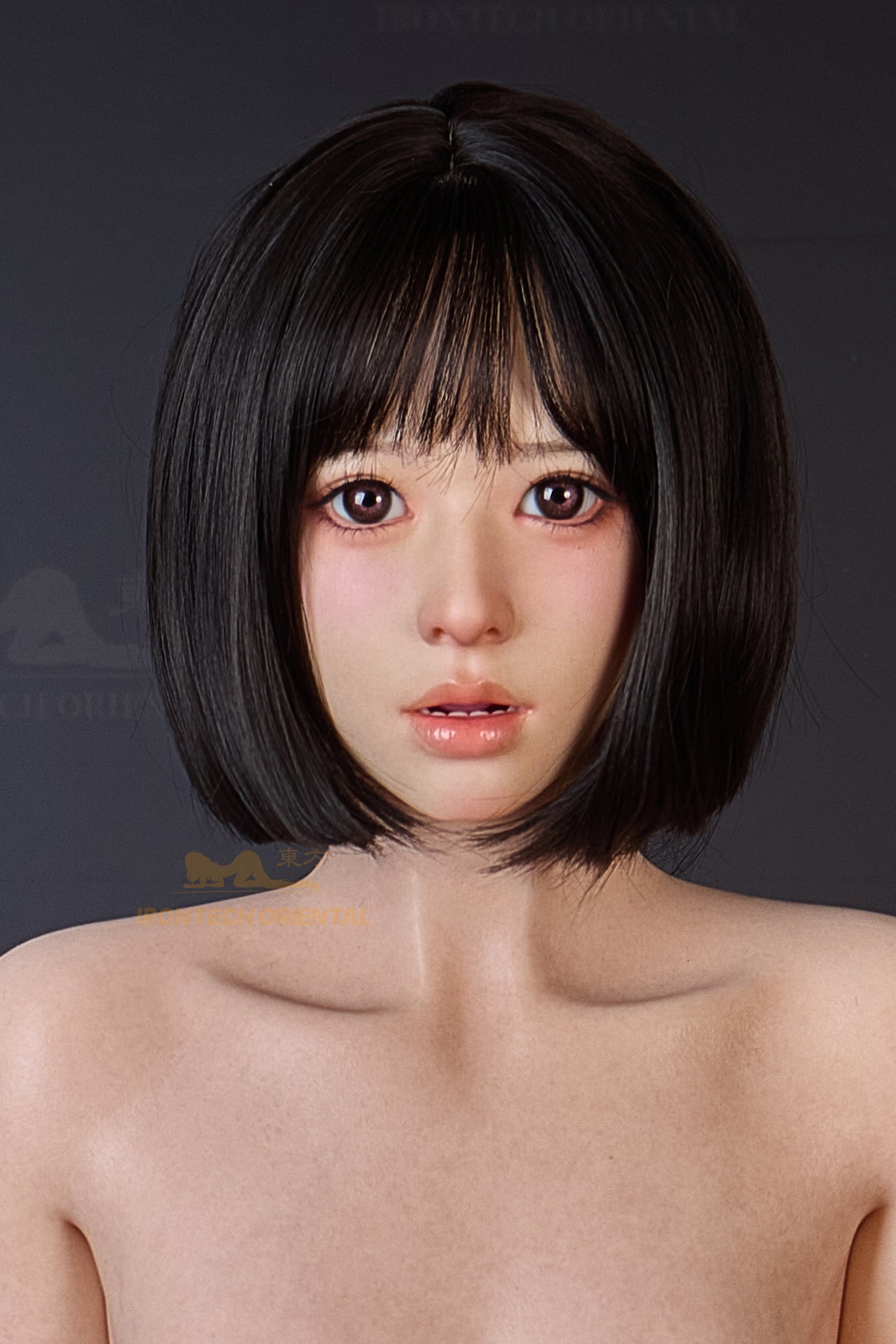 Lina ROSmax head 153cm(5ft) E-Cup Full Silicone love Sex Doll-Oriental Series - Irontech Doll®