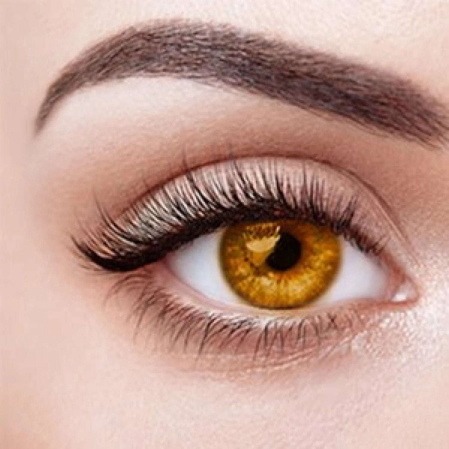 Yellow Replacement Eyes For Sex Dolls WM Dolls