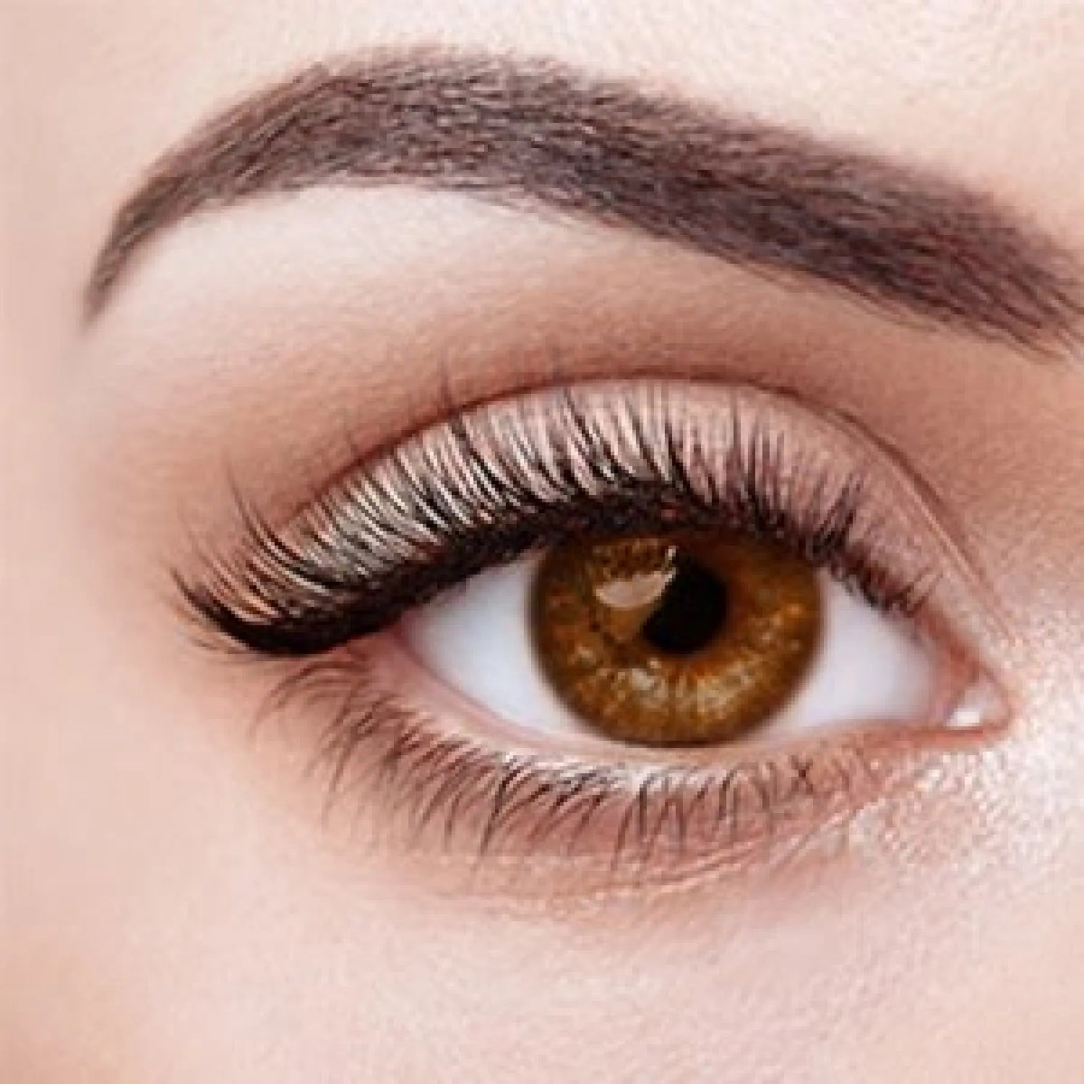 Sex Doll Eyes Brown WM Dolls