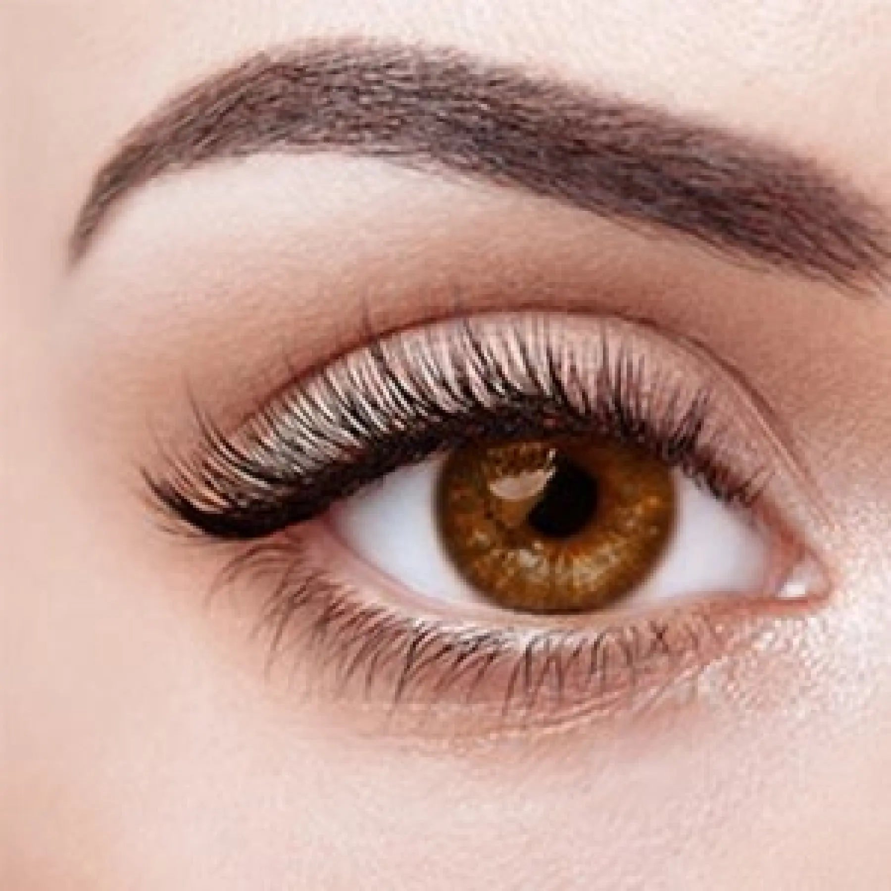 Sex Doll Eyes Brown WM Dolls