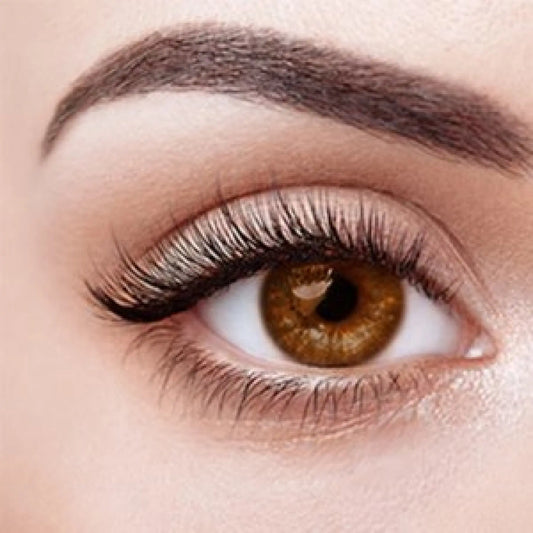 Sex Doll Eyes Brown WM Dolls