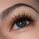 Eye Details Joy Love Dolls