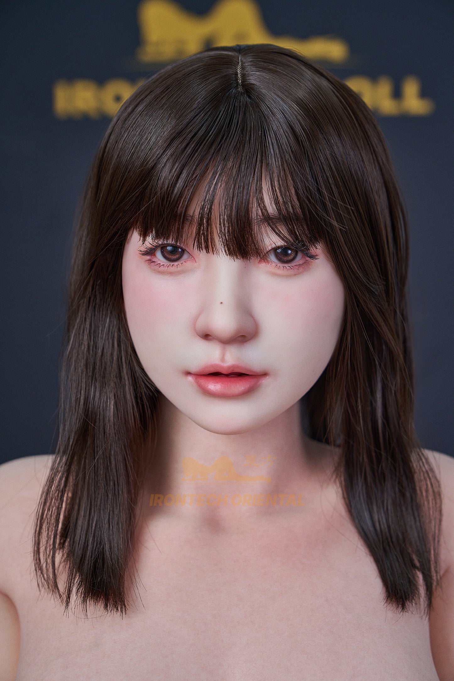 Yui ROSmax 158Tcm(5ft21) Shy Crush E-cup Realistic Skin Silicone Love Doll - Oriental Series - Irontech Doll®