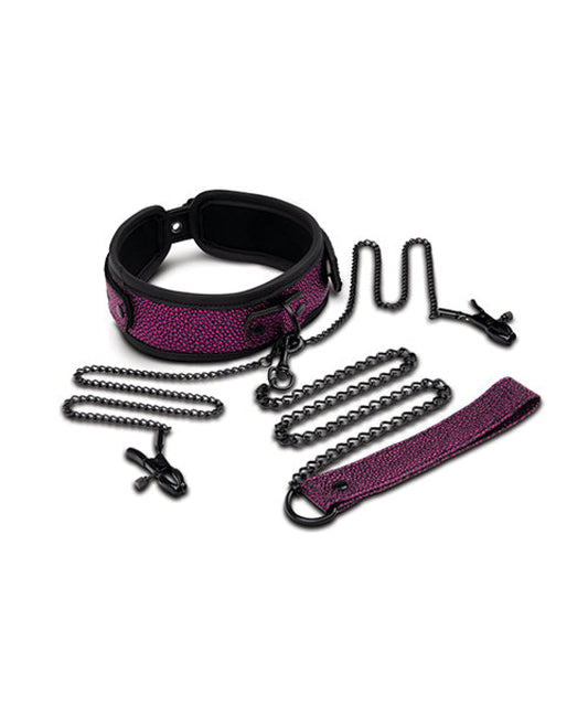 WhipSmart Dragon's Lair Collar, Leash & Nipple Clips Set Xgen
