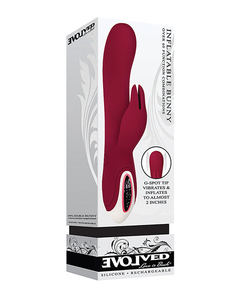 Evolved Inflatable Bunny Dual Stim Rechargeable - Burgundy Evolved Novelties INC vibrators