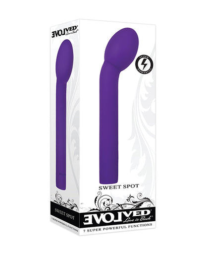 Evolved Sweet Spot - Purple Evolved Novelties INC