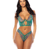 Evelyn Unlined Underwire Embroidered Bustier w/ Panty - Green Oh La La Cheri