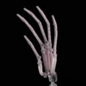 Hand Upgrades Chocolate Lady Doll options_hidden_products