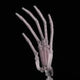 Hand Upgrades Chocolate Lady Doll options_hidden_products