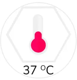 BODY TEMPERATURE ADD ON: Joy Love Dolls