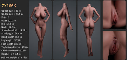 Carly Silicone Head (Movable Jaw) + SLE Body Premium Sex Doll - ZELEX® [USA & CANADA STOCK] ZELEX® SLE Collection