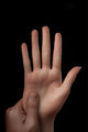 Hand Upgrades JLD options_hidden_products - back view