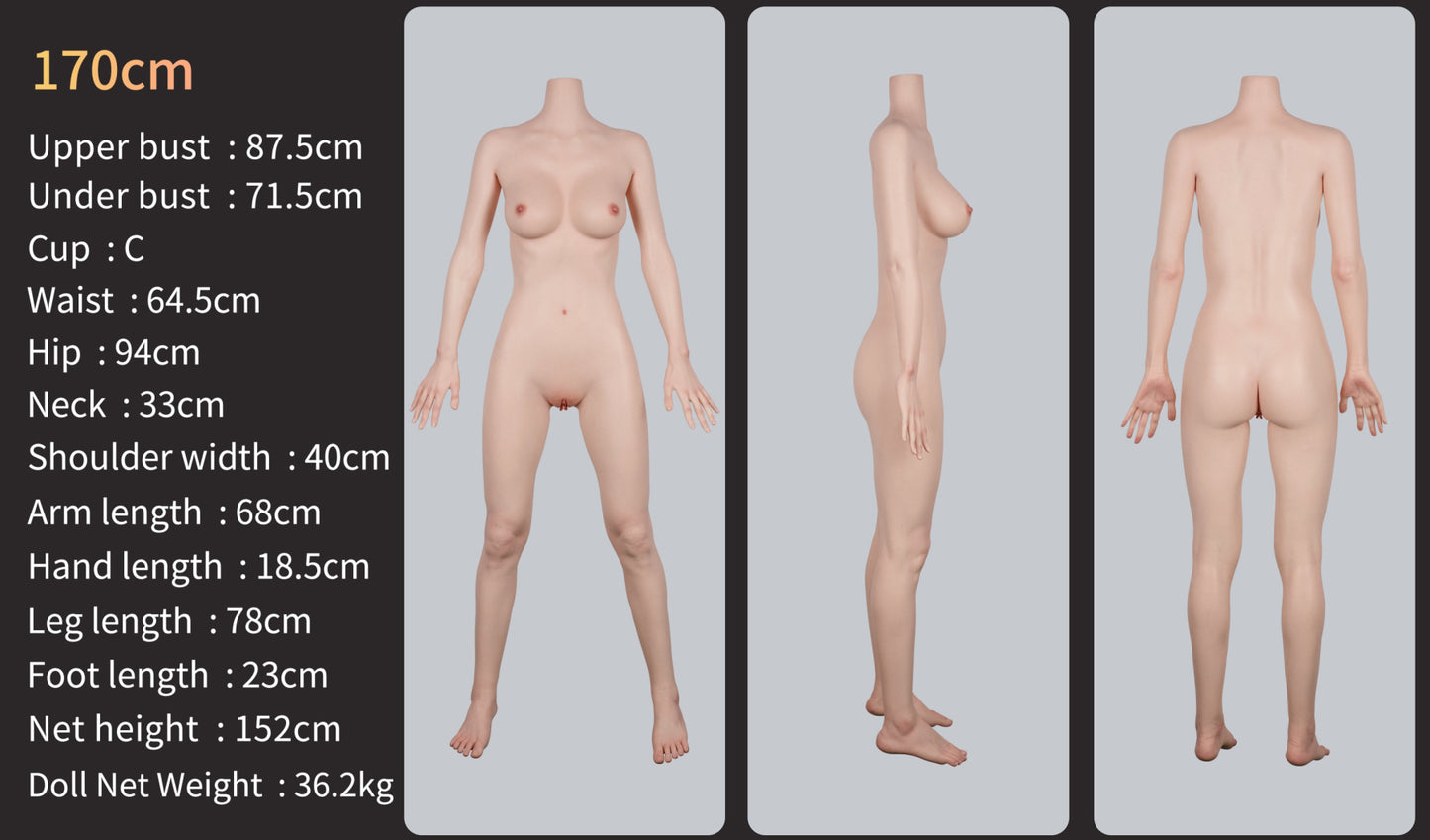 Cora Premium Realistic Silicone Love Doll - GE45_1 - Zelex Inspiration Series ZELEX®