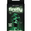 Firefly Clear Glass Plug - Glow Firefly