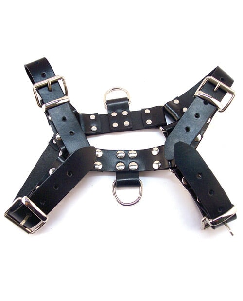 Rouge Over The Head Harness Rouge 1657