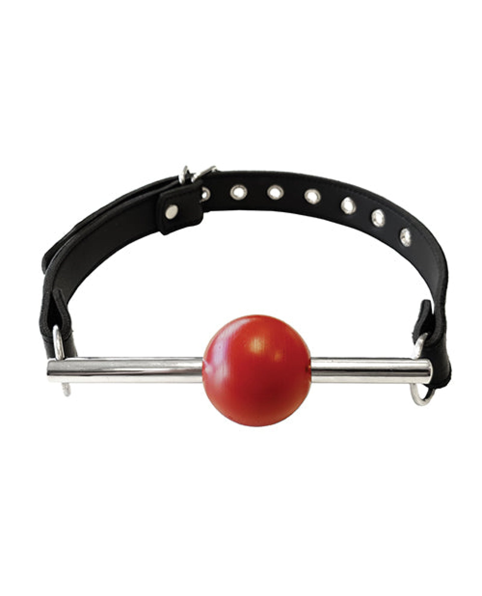 Rouge Leather Ball Gag With Stainless Steel Rod And Removable Ball - Black With Red Rouge