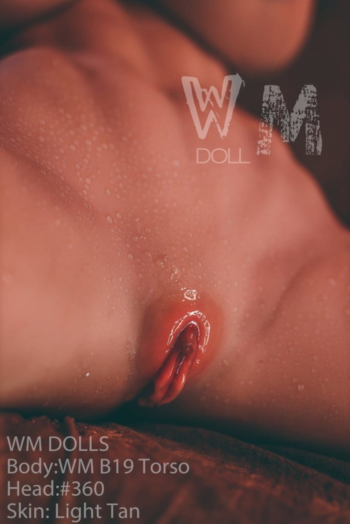 Karma Premium Sex Doll Torso B19 - Head 360 - WM Doll WM Dolls
