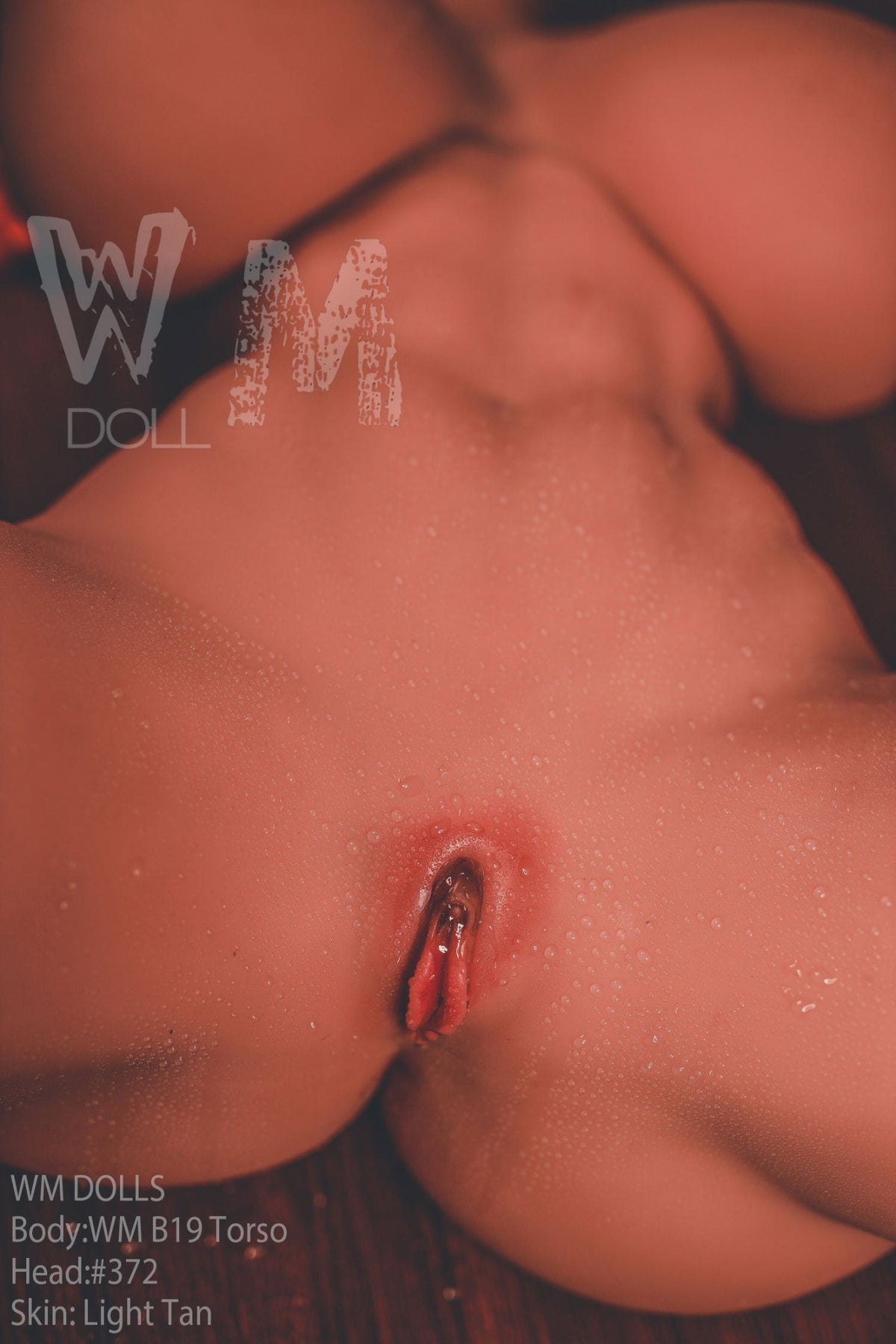 Pamella Premium Sex Doll Torso B19 - Head 372 - WM Doll WM Dolls