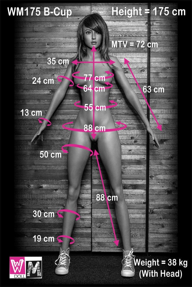 5'9" (175cm) - B-Cup Body WM Dolls